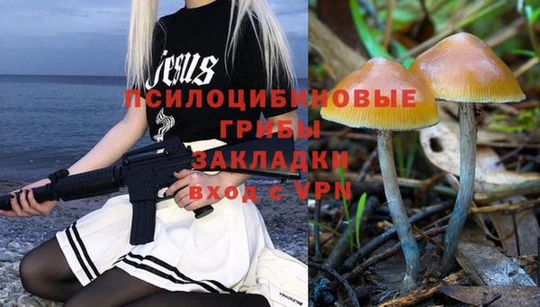 трава Абаза