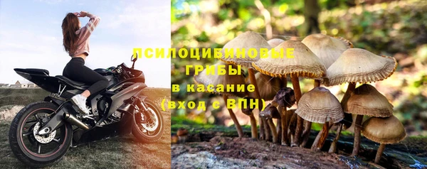 mdpv Алзамай
