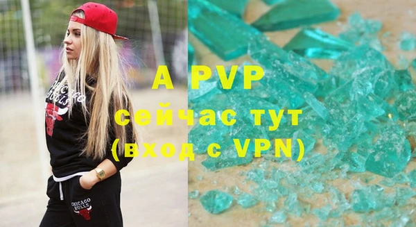 гидра Алексин