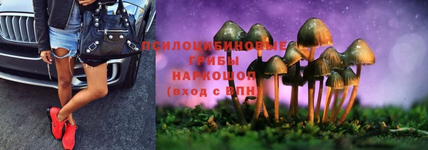 mdpv Алзамай