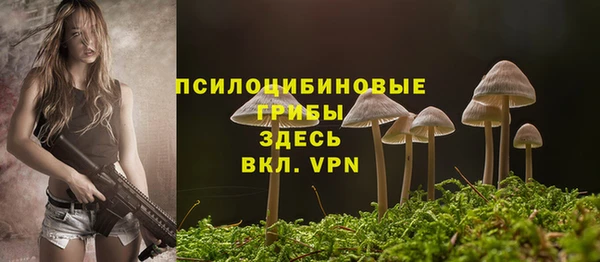 таблы Алексеевка