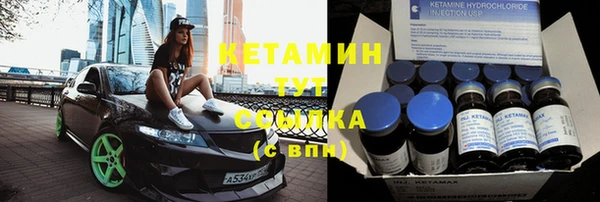 трава Абаза