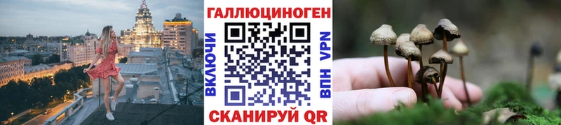 Галлюциногенные грибы Magic Shrooms  дарк нет как зайти  Щёлкино  цена  